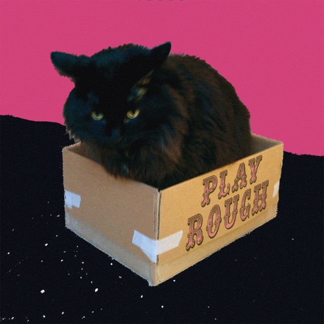 YES YES Hobbyhorse Freecember